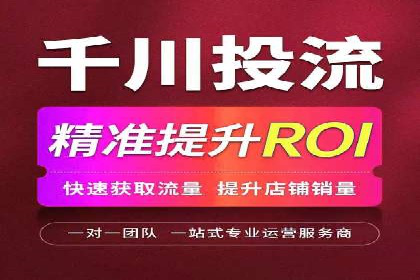SEM代理案例：揭秘成功背后的秘密